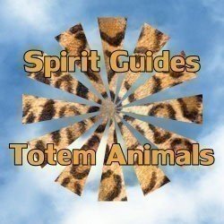 Totem Animals & Spirit Guides - Binding Of 3 Guides