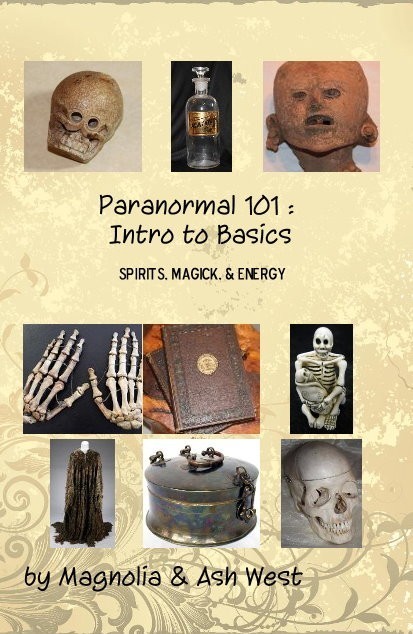 Paranormal 101 Book
