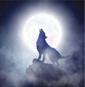 Spell For Werewolf Energy to Surround Yourself With The Supernatural