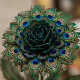 Mystery in May #30 - Your Choice