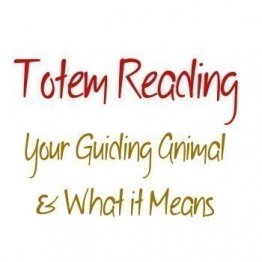 Totem Animal Reading, Which Animal Is Influencing Your Life Right Now?  Custom Reading & Amulet