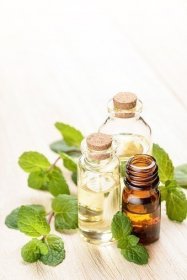 Aromatherapy Oil For Mental Clarity