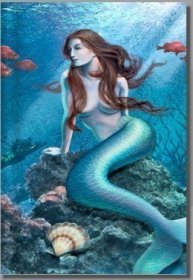 Mermaid Journal :: Creepy Hollow Exclusive