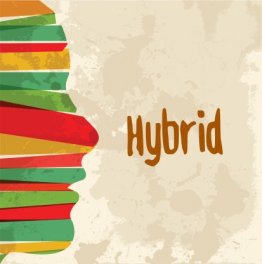 Powers Of The Path - Everything You Need To Develop As A Hybrid