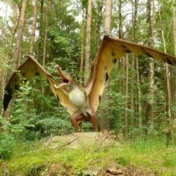 Pterodactyl (Pterosaur) - Triassic Dinosaur
