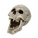 Celtic Vampire Skull