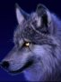 Custom Conjure Amarok - Brings Night Visions, & Power Of The Moon